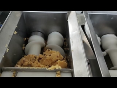 โสกอนในสแควร์