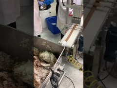 สายการผลิตดัตมาร์บับถั่วและถั่วโคโคส