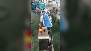 สายการผลิตลูกโปรตีนข้าวโอ๊ต